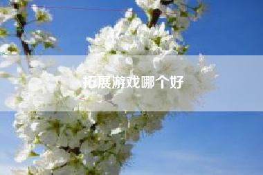 拓展游戏哪个好