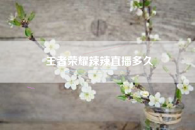 王者荣耀辣辣直播多久