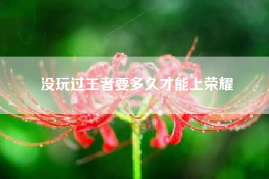 没玩过王者要多久才能上荣耀