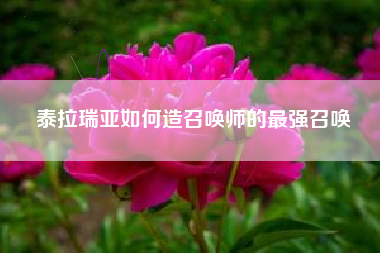 泰拉瑞亚如何造召唤师的最强召唤