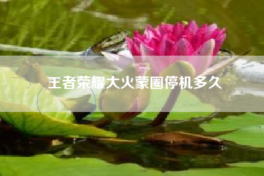 王者荣耀大火蒙圈停机多久