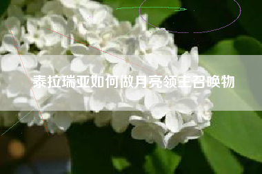 泰拉瑞亚如何做月亮领主召唤物