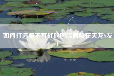 如何打造坚不可摧的国际同盟在天龙S发F