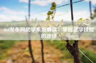 dnf发布网武学系统解读：掌握武学技能的途径