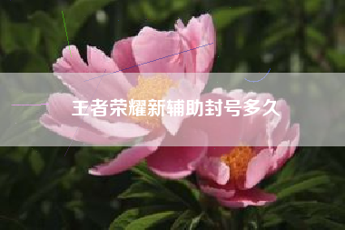 王者荣耀新辅助封号多久