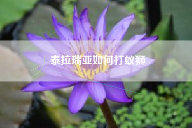 泰拉瑞亚如何打蚁狮