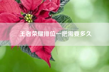 王者荣耀排位一把需要多久