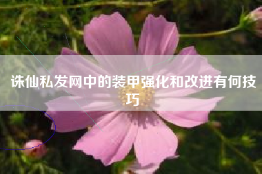 诛仙私发网中的装甲强化和改进有何技巧