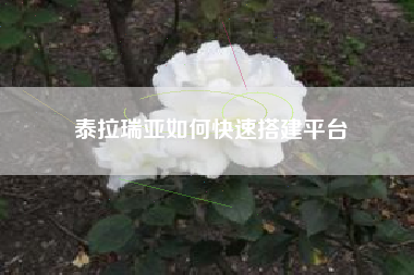 泰拉瑞亚如何快速搭建平台