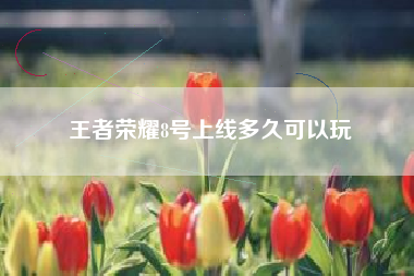 王者荣耀8号上线多久可以玩