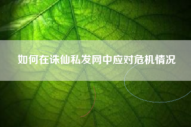 如何在诛仙私发网中应对危机情况