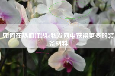 如何在热血江湖sf私发网中获得更多的装备材料