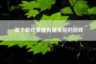 哪个游戏里面有健身房的游戏