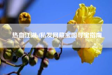 热血江湖sf私发网藏宝图寻宝指南