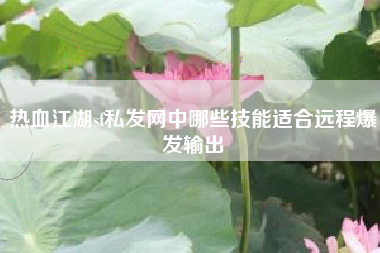 热血江湖sf私发网中哪些技能适合远程爆发输出