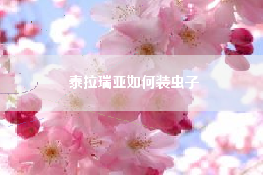 泰拉瑞亚如何装虫子