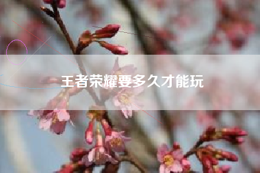 王者荣耀要多久才能玩