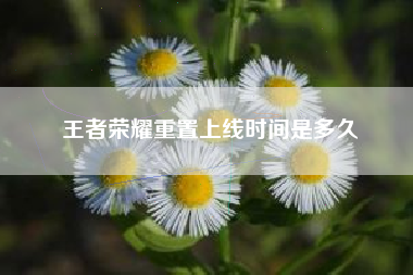 王者荣耀重置上线时间是多久
