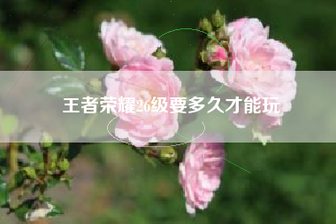 王者荣耀26级要多久才能玩