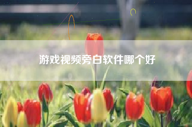 游戏视频旁白软件哪个好