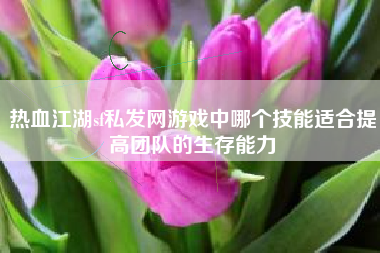 热血江湖sf私发网游戏中哪个技能适合提高团队的生存能力