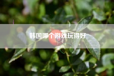 韩国哪个游戏玩得好