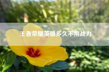王者荣耀英雄多久不用战力
