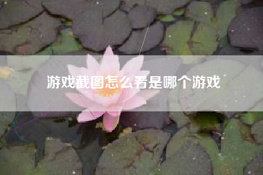游戏截图怎么看是哪个游戏