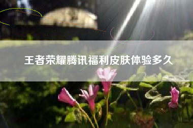 王者荣耀腾讯福利皮肤体验多久