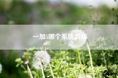 一加5哪个系统游戏