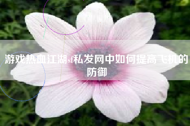 游戏热血江湖sf私发网中如何提高飞机的防御