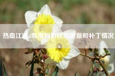 热血江湖sf私发网游戏的更新和补丁情况