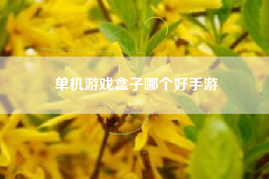 单机游戏盒子哪个好手游