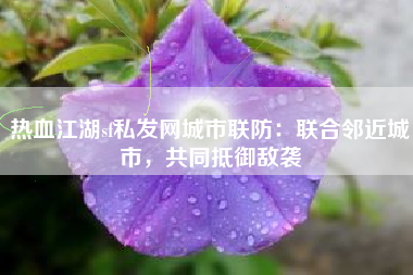 热血江湖sf私发网城市联防：联合邻近城市，共同抵御敌袭