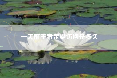 一天前王者荣耀访问是多久