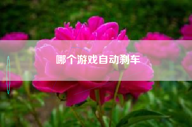 哪个游戏自动刹车