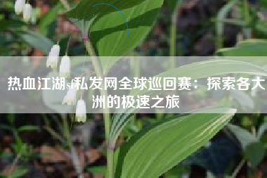 热血江湖sf私发网全球巡回赛：探索各大洲的极速之旅
