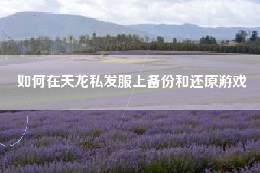 如何在天龙私发服上备份和还原游戏