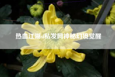 热血江湖sf私发网神秘幻境觉醒