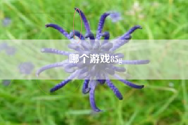 哪个游戏85g