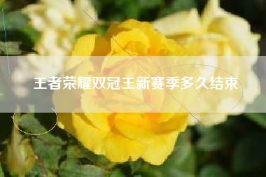 王者荣耀双冠王新赛季多久结束