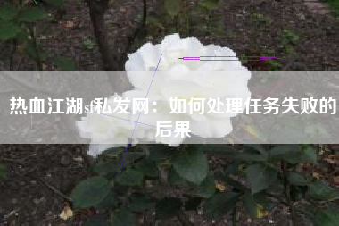 热血江湖sf私发网：如何处理任务失败的后果