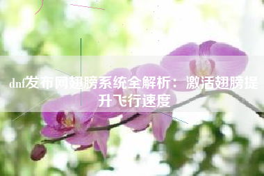 dnf发布网翅膀系统全解析：激活翅膀提升飞行速度