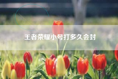 王者荣耀小号打多久会封