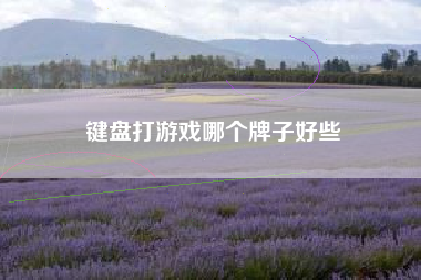 键盘打游戏哪个牌子好些