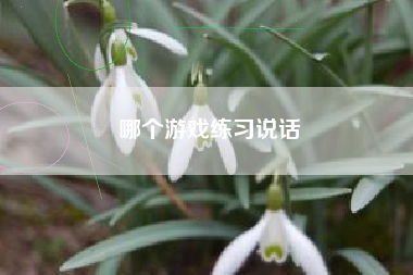 哪个游戏练习说话