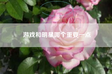 游戏和明星哪个重要一点
