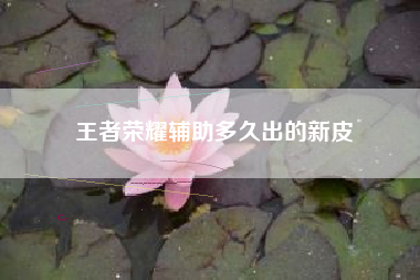 王者荣耀辅助多久出的新皮