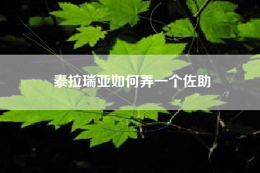 泰拉瑞亚如何弄一个佐助