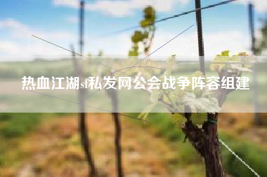 热血江湖sf私发网公会战争阵容组建